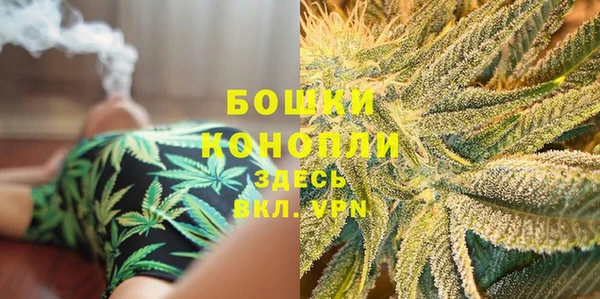 индика Гусиноозёрск