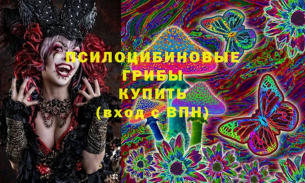 ешки Гусь-Хрустальный