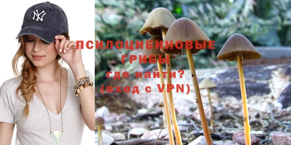 ECSTASY Нязепетровск