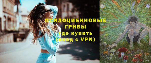 таблы Няндома