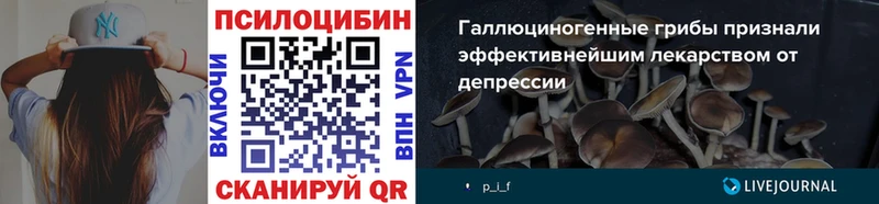 Галлюциногенные грибы Magic Shrooms  сколько стоит  Мирный 