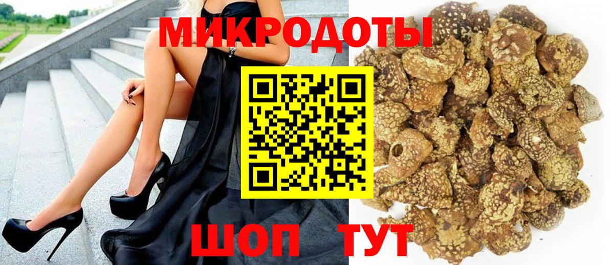 Галлюциногенные грибы Psilocybine cubensis  Вход с VPN  Мирный  Галлюциногенные грибы Cubensis 