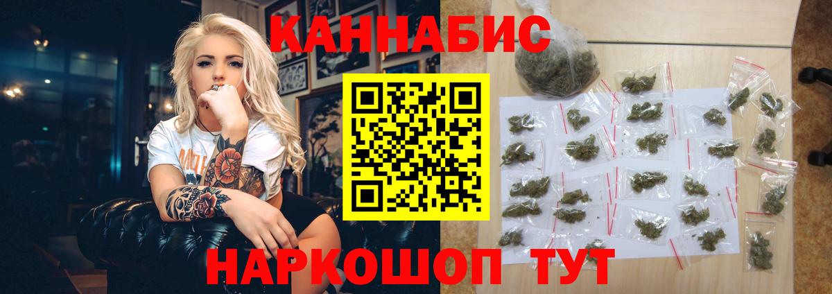 Канабис планчик Мирный