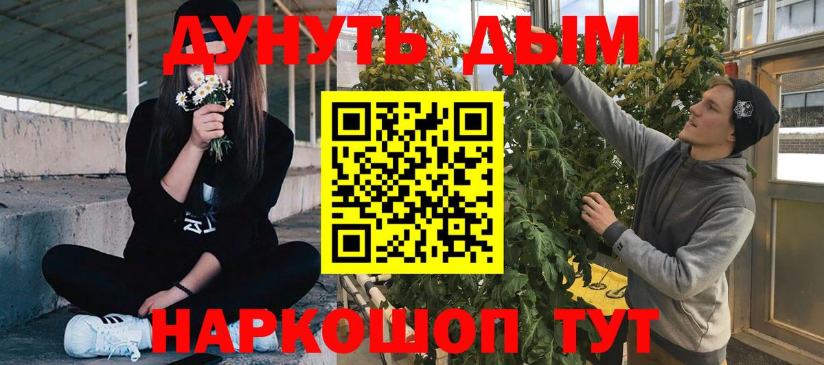 Мирный  Конопля сатива  Каннабис планчик  Каннабис план  Бошки марихуана планчик  Вход с VPN 